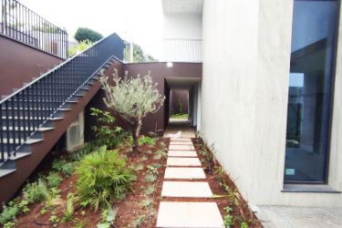 M814 Garden