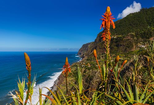 Landschaftsfoto von Madeira