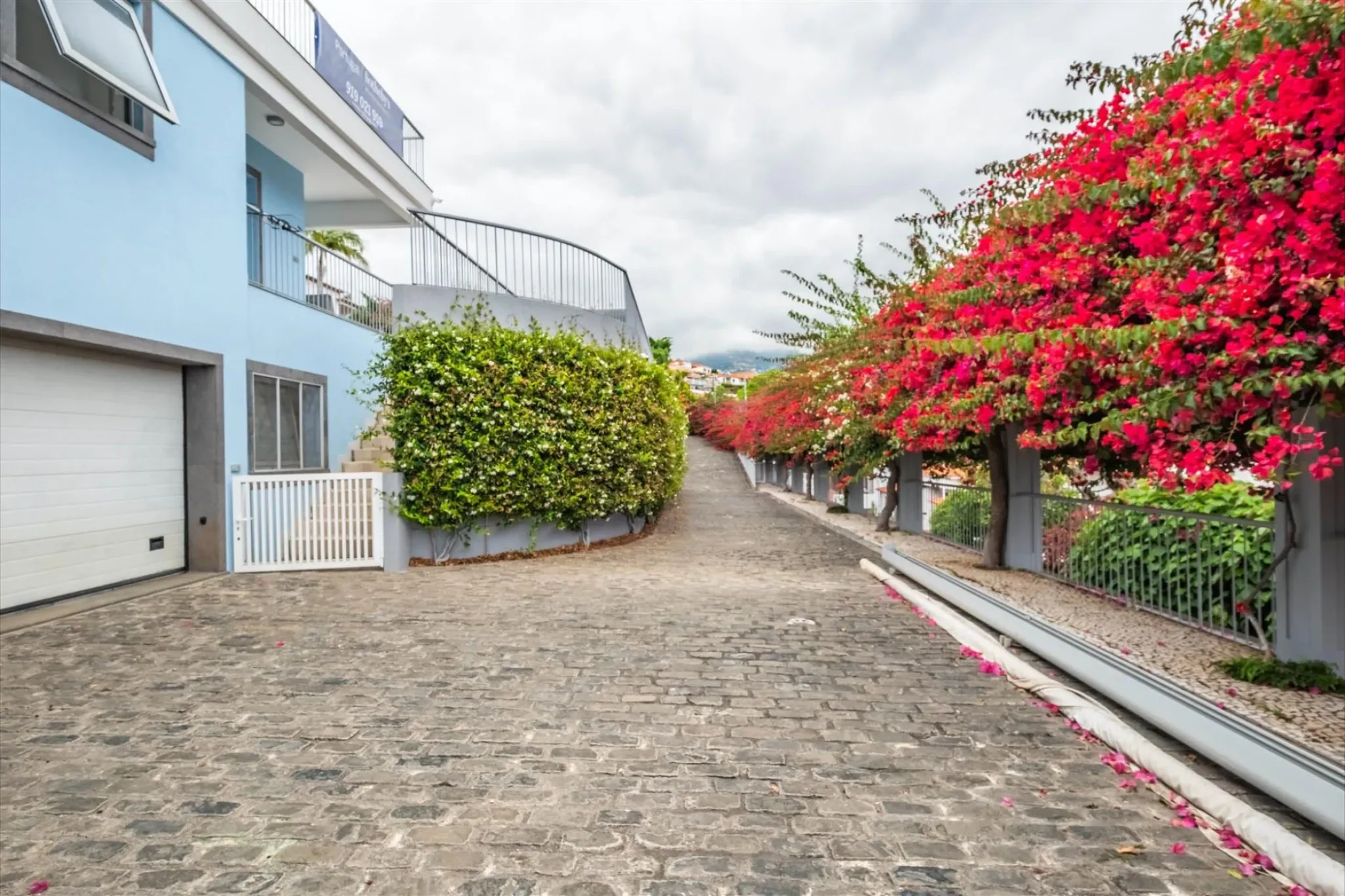Driveway