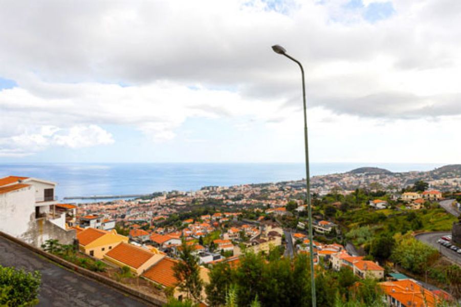 M544 Funchal view